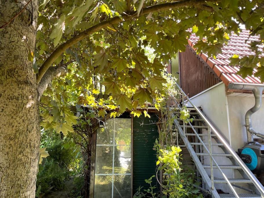 Ferienwohnung Mit Sonnenterrasse, Monteursunterkunft, Gaestewohnung クリップハウゼン エクステリア 写真